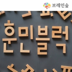 수지원에듀마트,[브레인 숲] 한글블럭훈민-원목37